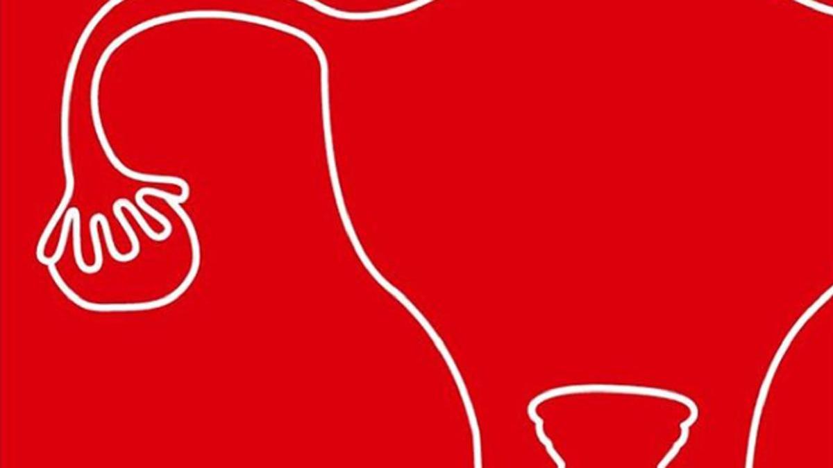 Изображение женской половой системы красного цвета Изображение женской половой системы красного цвета